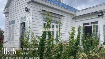 Homestay nhà vườn DT 7317,6m2 (37x137m) sẵn 200m thổ cư - đường oto