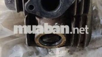 Đầu bò Super Dream