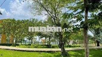 🏡 BÁN ĐẤT MẶT TIỀN TRUNG TÂM BÀU BÀNG, BÌNH DƯƠNG 3 TỶ 2