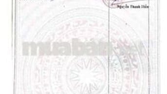 bán 2 căn nhà kiệt nguyễn duy trinh thông đường bùi bỉnh uyên