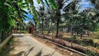 Bán nhanh lô đất Đắc Lộc - Vĩnh Phương - Nha Trang