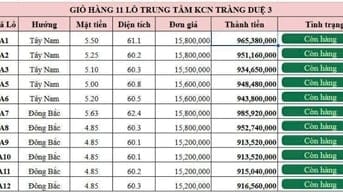 BÁN ĐẤT KHU CÔNG NGHIỆP TRÀNG DUỆ 3 , HUYỆN AN LÃO , XÃ BÁT TRÀNG 
