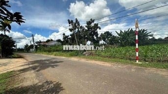 Bán Lô Đất Mặt Tiền Đường Nhựa Sau UBND Phường Ea Kao - BMT