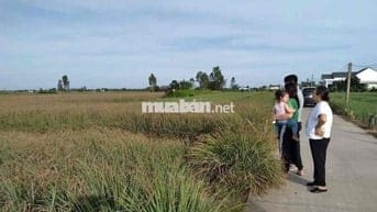 Đất Tân Phú Đông - Minh đường tụ thuỷ