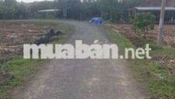 Bán 323m Lai Hưng 20 lai Hưng Bàu Bàng Bình Dương