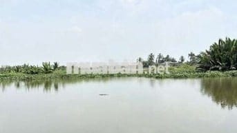 1000m2 VIEW SÔNG 599 Triệu Sổ Sẵn, đường Ô Tô, Nền Cao. về HCM 25p