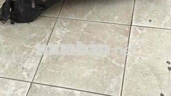 ko cần sử dụng nữa cần sang nhuong lai cho ar nào