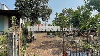 Chính chủ bán đất rẫy sổ hổng riêng