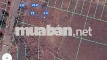 tôi chính chủ cần bán gấp 3 lô liền kề dự án lan anh 5