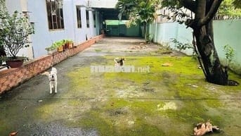 Bán gấp lô đất Ninh Tốn, Thị Trấn Củ Chi, 5x36m, giá chỉ 1,2 tỷ hiếm