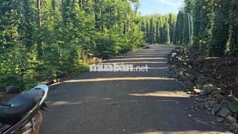 Bán 1000m2 Đất Bàu Lâm Giá Chỉ 500tr Siêu Rẻ