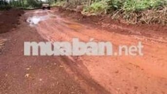 Cần bán 5,6 hecta, 100m mặt tiền. thích hợp làm nhà máy, kho xưởng