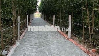 Chính chủ cần bán lô đất 7.000m , cách quốc lộ 1A 1,5km ,