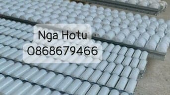 Thanh truyền con lăn nhựa nhập khẩu