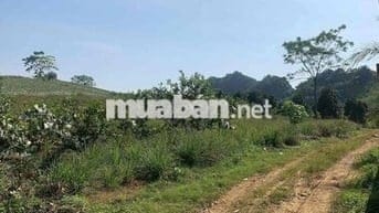 đất mặt tiền quốc lộ 25 cách Hà Nội 2 tiếng