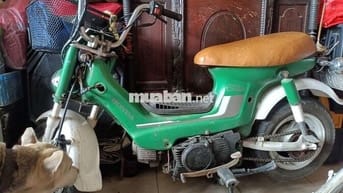 Không xử dụng cần bán gấp cho trồng nhà