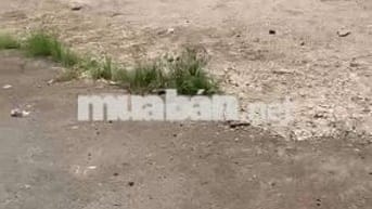 Cho thuê đất và nhà Phường An Phú Đông, Quận 12