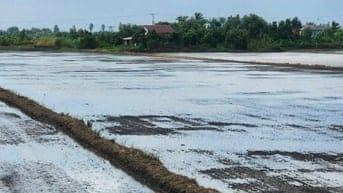 CTY ĐẤU GIÁ HỢP DANH TRỰC TUYẾN VIỆT NAM (VNOA) TỔ CHỨC ĐẤU GIÁ