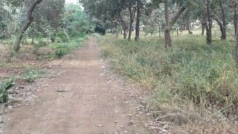 bình phước, dt 37.000. 400m thổ cư, mặt tiền bê tông 317m, 0942954902