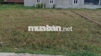 Mình chính chủ cần bán đất a chị nao thiện chí mua liên hệ minhg