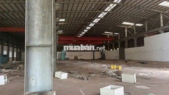 Cho thuê kho xưởng đường đào trí Quận 7