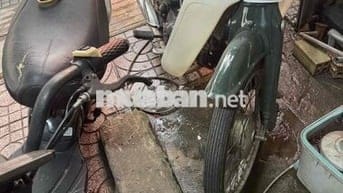 Honda Cub 86 màu Xanh rêu