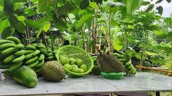 CẦN BÁN NHÀ VƯỜN 4600M GẦN KDL BÀ NÀ ĐẦU TƯ SINH LỜI TỐT