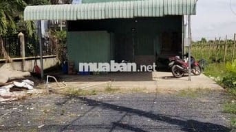 Cần sang lại 6000m2 vườn hợp đồng 5 năm