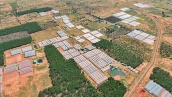 **CHÍNH CHỦ BÁN LÔ ĐẤT ĐẸP – GẦN 5 HA + 300M² THỔ CƯ – THÔN 2, XÃ HÀM 