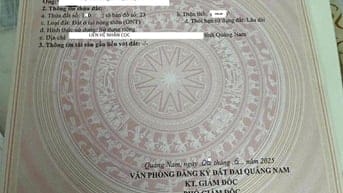 Cô cần tiền làm nhà chống Bão, Bán MT Đường 8m nhìn qua phố cổ Hội An