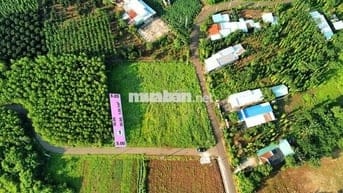 🔥 Đất thổ cư 160m² TT Ấp gần KCN Xuân Quế – Sông Nhạn, giá chỉ 670 TR