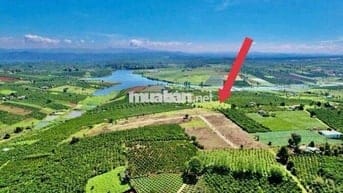 Đất View hồ sổ sẵn gần Đà Lạt - Phúc Thọ Lâm Hà