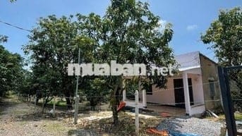 HẠ GIÁ - CẦN BÁN 7 SÀO 1 ĐẤT VƯỜN - CÓ NHÀ