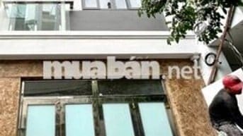 Bán nhà 10PN, 11WC, Bùi Minh Trực, Q.8, HCM, giá ưu đãi 11 tỷ