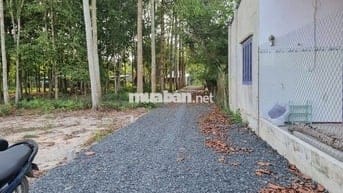 5x52 có thổ. Đường thông. Gần trường học. 350tr