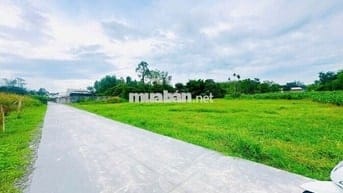 5x40m Full Thổ Cư. Đường BêTông 4m. Sổ Hồng Riêng. Chỉ 550Tr