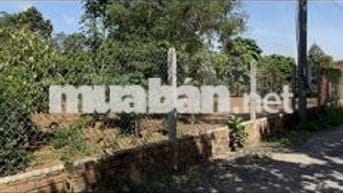 Cần Tiền nên Bán Lô Thổ Cư 186m2 đường nhựa Lớn cho ai muốn An Cư