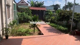 CHO THUÊ NHÀ PHƯỜNG TÂN HẠNH GIÁ 5,5 TRIỆU