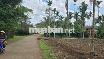 Trục chính Tara đường nhựa, hẻm cấp 1 Quốc lộ 26