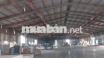 Cần Cho Thuê Kho Mặt Tiền Đường Nguyễn Văn Tiếc ,P Lái Thiếu