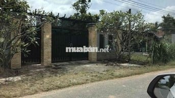 đất MT nhựa lớn kinh doanh mọi ngành nghề….