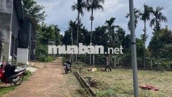 Tìm surius xăg cơ