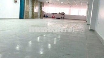 Cho Thuê Nhà Lớn Đường Bạch Đằng, Tân Bình ( 2 Thang Máy + PCCC Full )