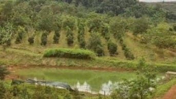 Bán đất Xã Đạ Tẻh 2 (Huyện Đạ Huoai cũ), Tỉnh Lâm Đồng