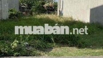 bán đất DX025 gần KCN Đại đăng .