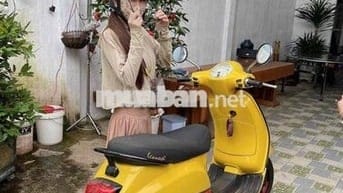 Dư ko đi thanh lí nhanh e bé màu zàng 3737 1x Lh 0