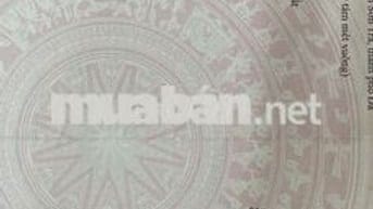 Bán đất mặt tiền đẹp đường lê tấn trung sơn trà đà nẵng