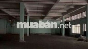 Kho đẹp cần cho thuê gấp ở Nguyễn Tất Thành diện tích 300m2