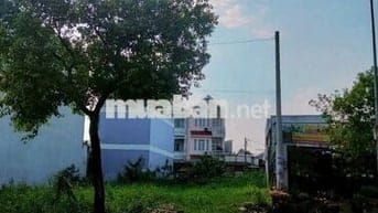 GẤP BÁN MT NHỰA TT.HÓC MÔN 136M2 SHR FULL TC GIÁ 1 TY 250 CÒN TL SÂU