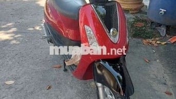 Elizabeth đỏ candy